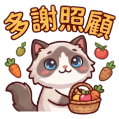 ★可愛布偶貓★ 多謝照顧