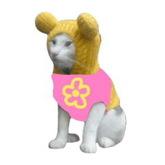 陸家五寶馬年旺