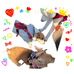 Tsuna_20260414210007