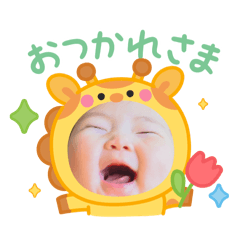 tototo_20260414210658