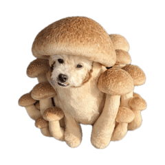 Manya_20260414230400