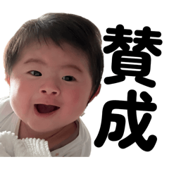 airu_20260414210259