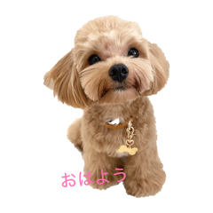 AKANE_20260413162452