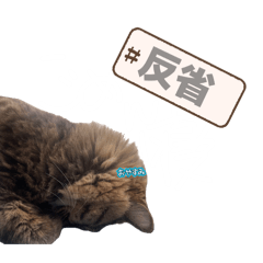 azumonapan_2026041418412