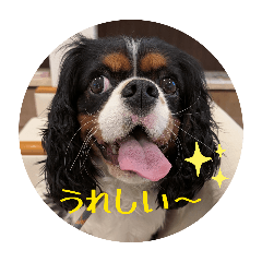 kotori_20260414182211