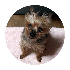 MIZUKI_20260415022447