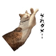 Arumono_20260415023438