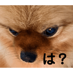 Kazemochi_20260415023146