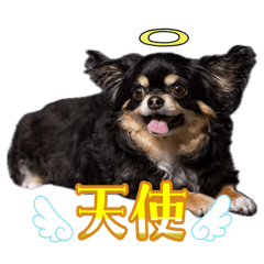 Yuka_20260414220527