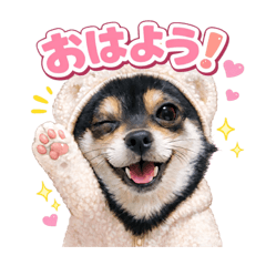 chiwasiba_20260415004352