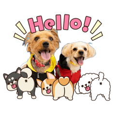 ARATAKe_20260415003947