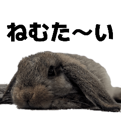 haaa38_20260415011117