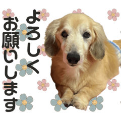 Sho Shimizu_20260415005919