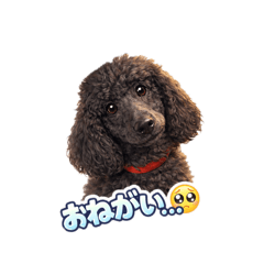 mugen_20260414190907