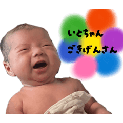 mychi_20260415010340