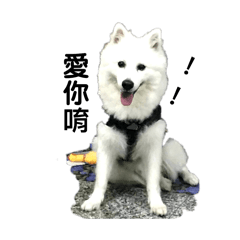 啾比❤️❤️