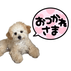 Manaty_20260414202434