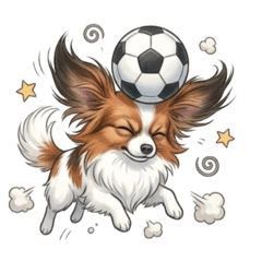 Papillon Days 7: Ball Sports