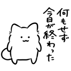 しらこねこ 3
