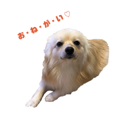 akari_20260415103728