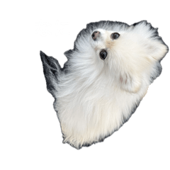 Nakachan_20260415120839