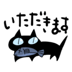 black cat sachi