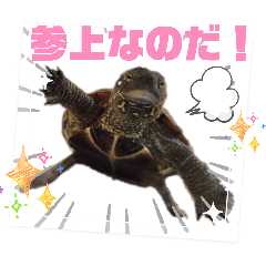 barney0717_20260415111130