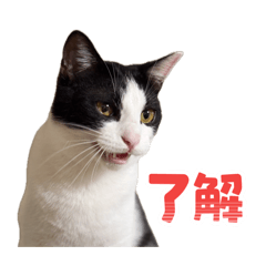 bookmark_20260414140627