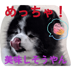 setsu_20260414141108