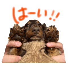 reodan_20260414212626