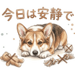 Corgi Pet Info Sharing (SableColor)