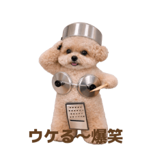 song june_20260414212913