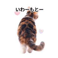 k_20260414212742
