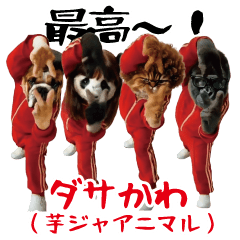 Animals in potato jerseys