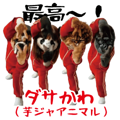 Animals in potato jerseys