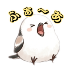 A lazy long-tailed tit