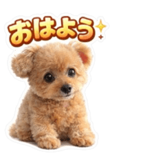 pafoKEN5_20260415064042