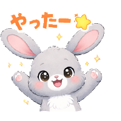 HAMY_20260415084449