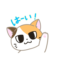 itoka_20260415110522