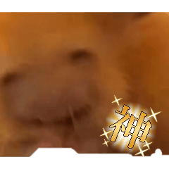 AYAKA_20260411121643