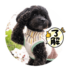 Ryuto_20260414212634