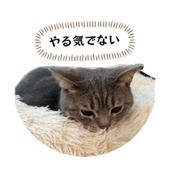 tsukujan_20260414224447