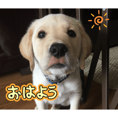 Norito_20260414224417