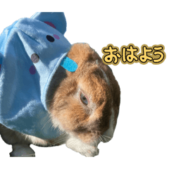 yahataro_20260414224722