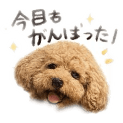 MASARU_20260414224710