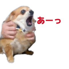 Hiroyuki_20260414223017