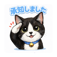 kyopy_20260414224509