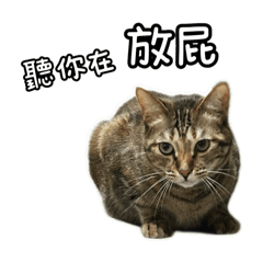 九九八十一搞笑版