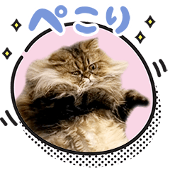 Shi-chan's greetings 2026