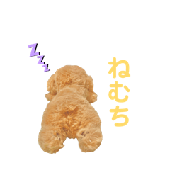 Nejima_20260414142218